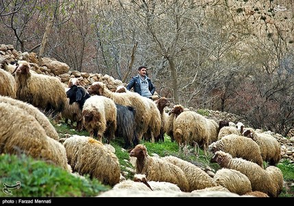 عکس/ طبیعت و میراث بکر شهرستان ریجاب 