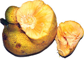 Û³ Ù…ÛŒÙˆÙ‡ Ø¢Ø³ÛŒØ§ÛŒÛŒ Ú©Ù‡ Ù†Ù…ÛŒâ€ŒØ´Ù†Ø§Ø³ÛŒØ¯