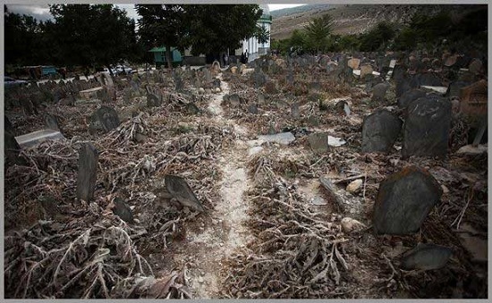 قبرستان اسرار آمیز در شمال ایران + عکس