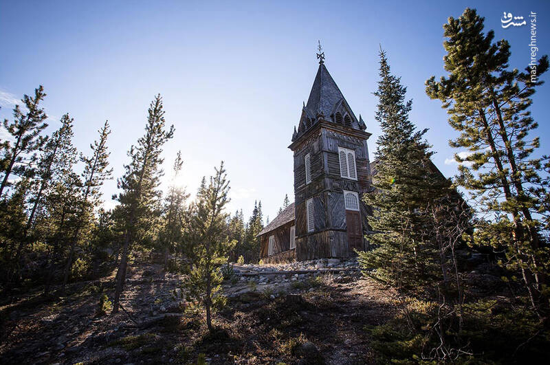 عرق جبین یا زنان کانادایی؛ ثروت دونالد ترامپ از کجا آمده است؟ +عکس و فیلم