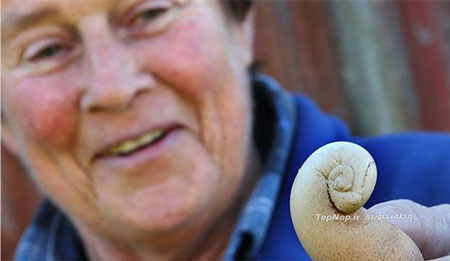 تخم مرغ عجیب و غریب +تصاویر