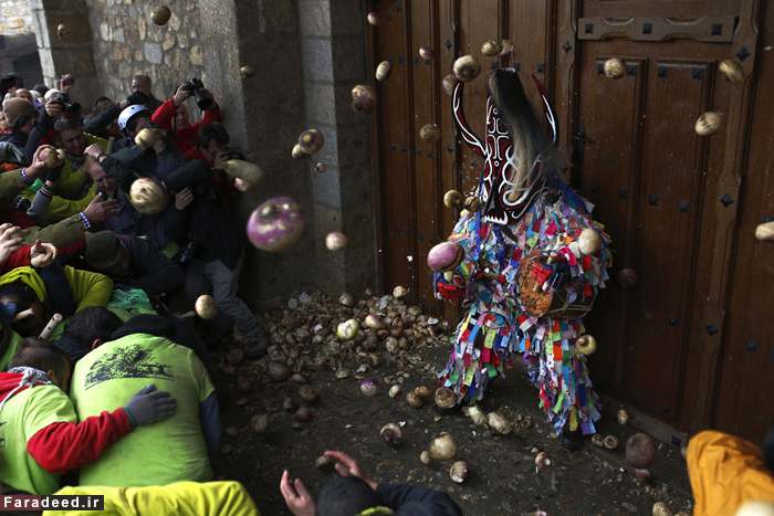 تصاویر/ حمله به شیطان با شلغم