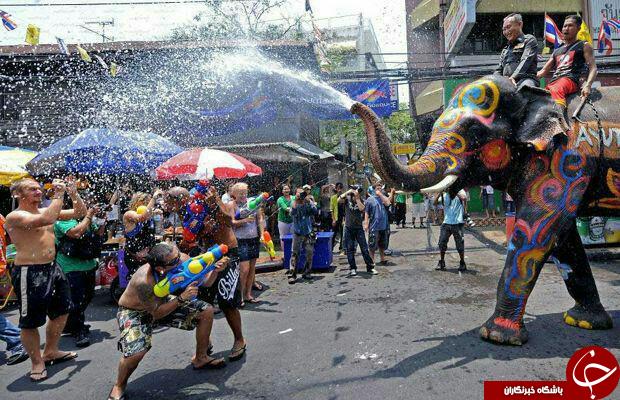فستیوال های جالب در دنیا + عکس