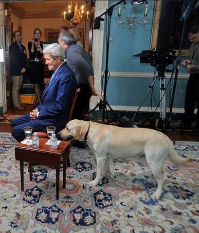 سگ جان کری/عکس