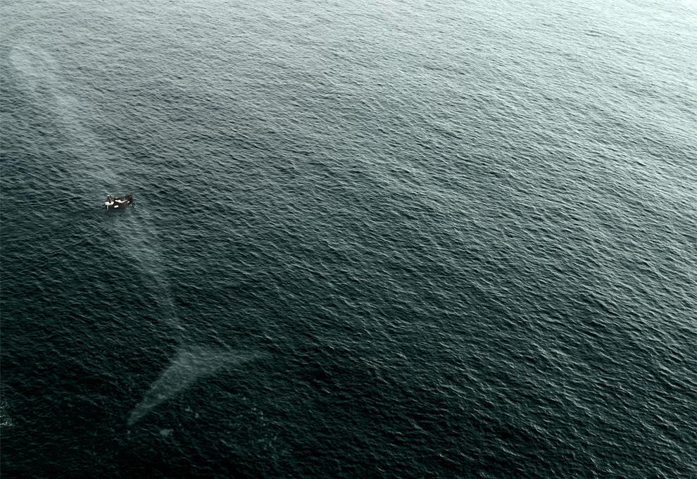 نفس‌گیرترین عکس دریایی سال 2015