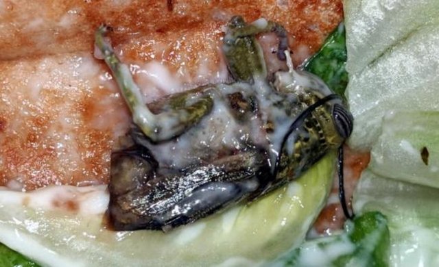 Ø¬Ø±ÛŒÙ…Ù‡ Ø¨Ø±Ø§ÛŒ ÙØ³Øª ÙÙˆØ¯ ÙØ±ÙˆØ´ÛŒ Ù…Ø´Ù‡ÙˆØ± Ø¨Ø±Ø§ÛŒ Ù…Ù„Ø® Ø¯Ø± Ø³Ø§Ù†Ø¯ÙˆÛŒÚ† Ù…Ø´ØªØ±ÛŒ+Ø¹Ú©Ø³