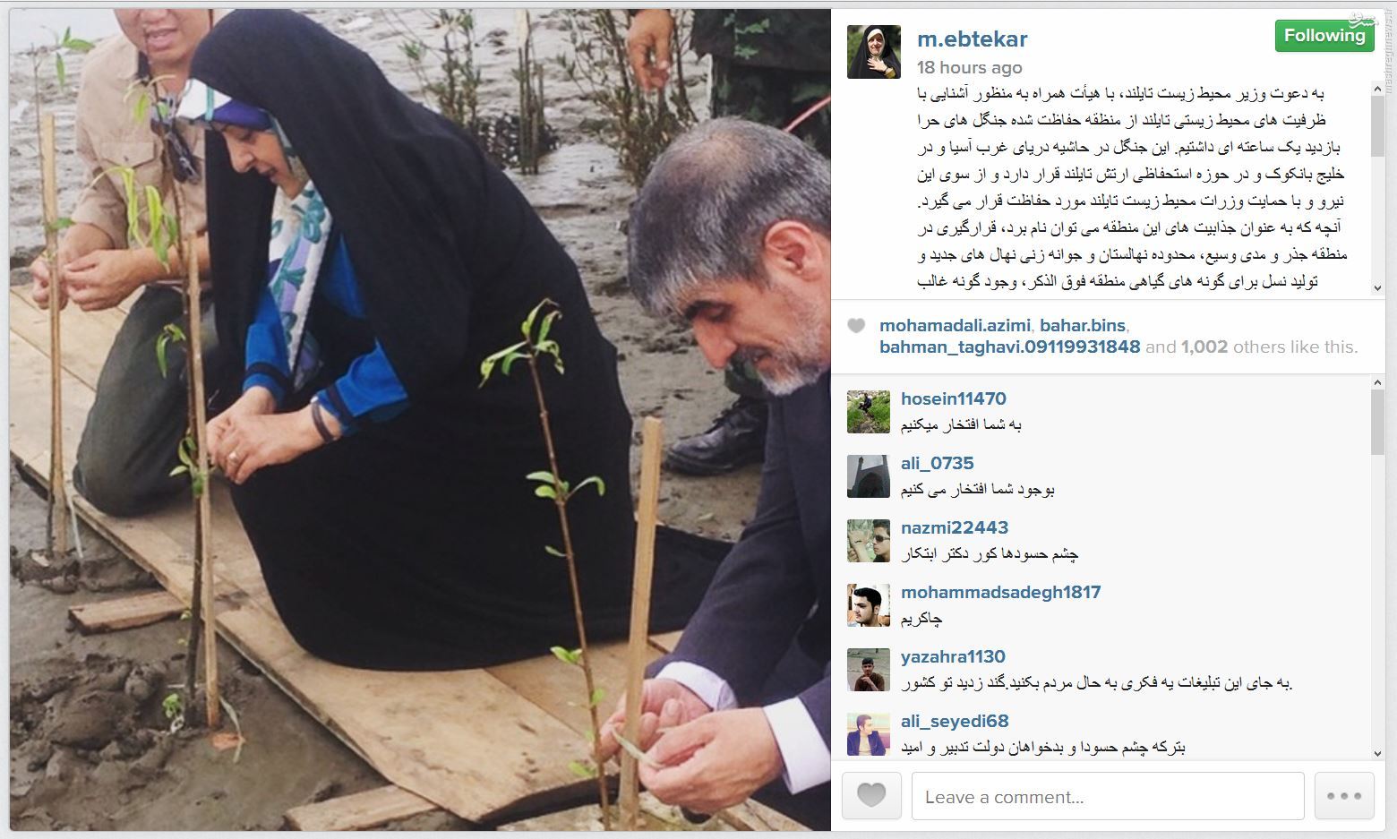 درختکاری ابتکار در جنگل حرا+عکس