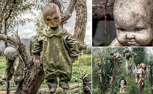 گورستان عروسک ها در مکزیک+ تصاویر