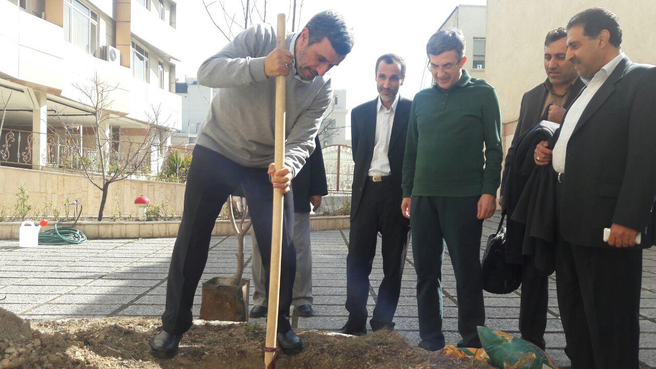 احمدی نژادی ها به دنبال احیای شعار «زنده باد بهار» از روز درختکاری