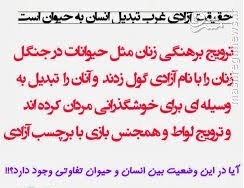 ملا علی کنی