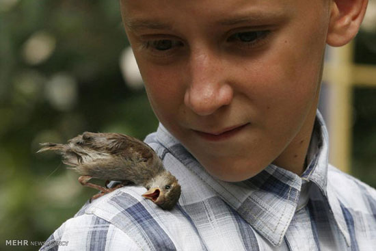 حیوانات دست آموز نامتعارف