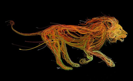 ابتکاری جالب با نقاشی با سیم+ تصاویر