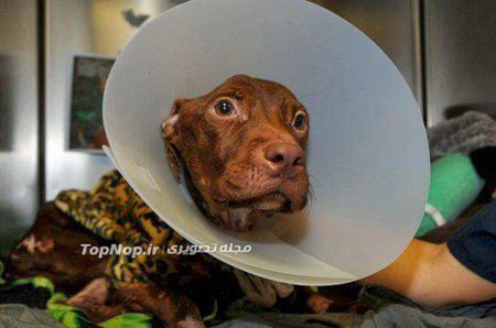 نجات از مرگ حتمی