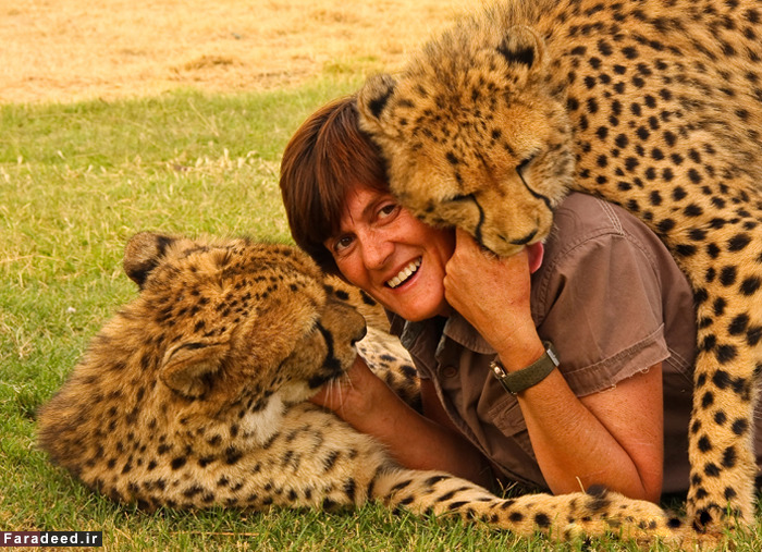 (تصاویر) رهایی زن از سرطان با عشق به یوزپلنگ