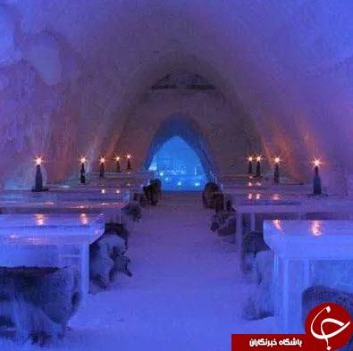 خطرناک ترین رستوران های جهان+تصاویر