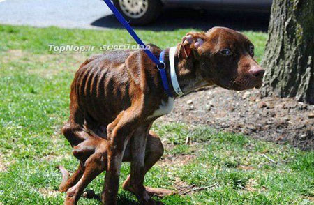 نجات از مرگ حتمی