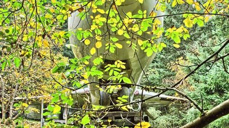 عکس/ زندگی در بوئینگ 727 وسط جنگل 