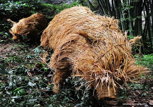 جشنواره هنرهای دستی حصیری + تصاویر