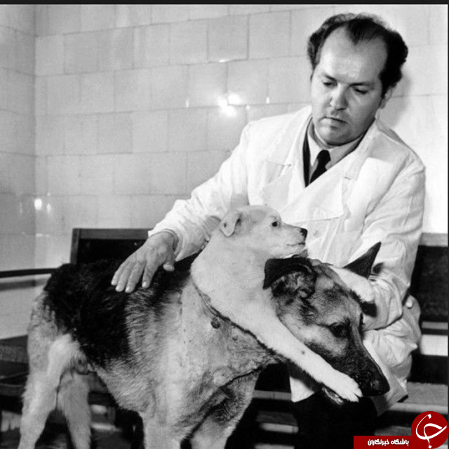 6 دانشمند دیوانه جهان را بشناسید!+تصاویر