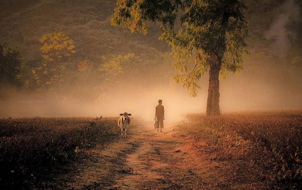 تصاویر : جهان رو به فقر و گرسنگی
