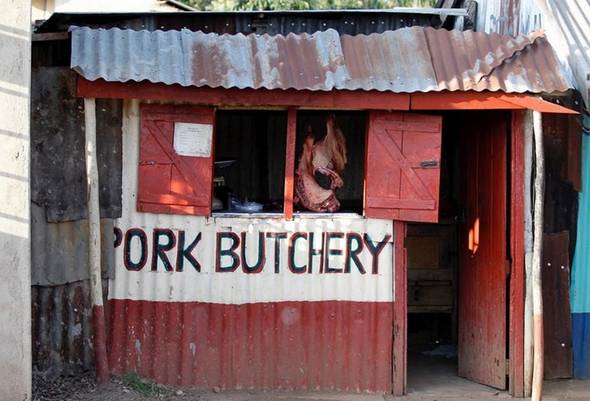 تصاویر : محله اجدادی اوباما