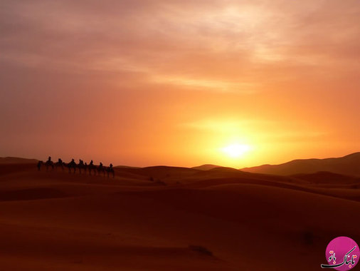 صحرای بزرگ،الجزایر