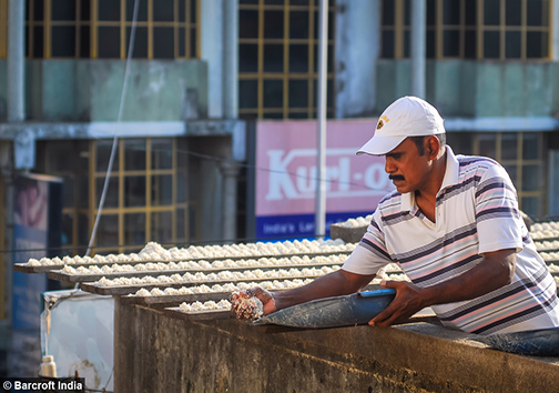 مرد پرنده‌ای + تصاویر