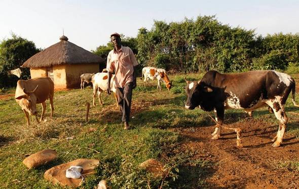 تصاویر : محله اجدادی اوباما