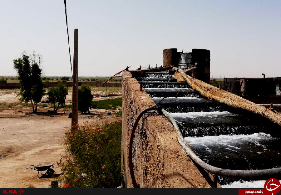 Ø¯Ø±Ø¢Ù…Ø¯ Ù…ÛŒÙ„ÛŒØ§Ø±Ø¯ÛŒ Ø§Ø² Ù¾Ø±ÙˆØ±Ø´ Ù…Ø§Ù‡ÛŒØ§Ù† Ø®Ø§ÙˆÛŒØ§Ø±ÛŒ Ø¯Ø± Ø¨ÛŒØ§Ø¨Ø§Ù†!+ ØªØµØ§ÙˆÛŒØ±