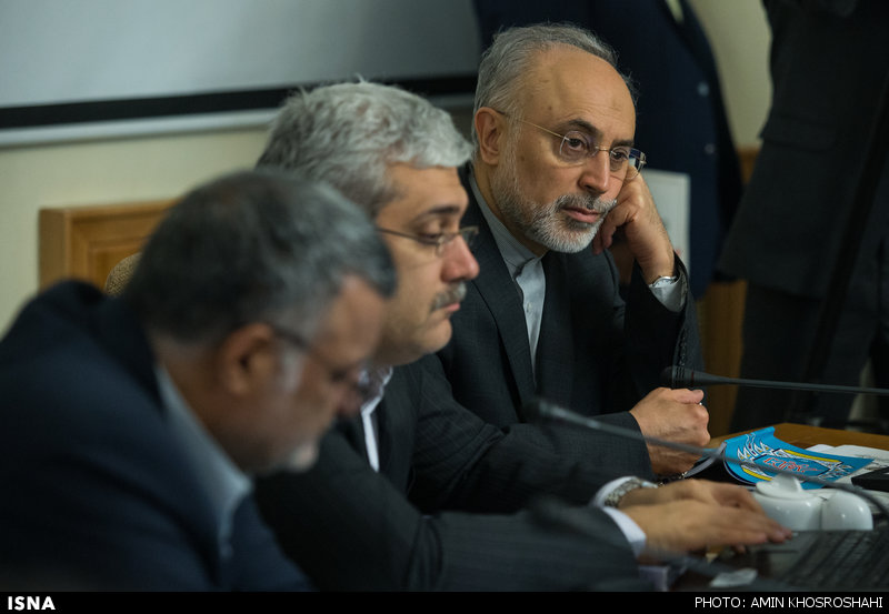 تفکر علی اکبر صالحی در جلسه هیات دولت/ عکس‬