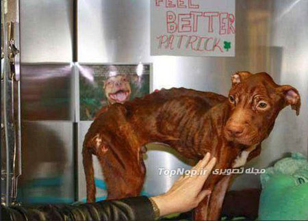 نجات از مرگ حتمی