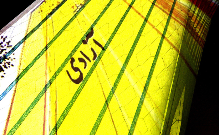 (تصاویر) رقص‌نور هنرمند آلمانی در برج آزادی