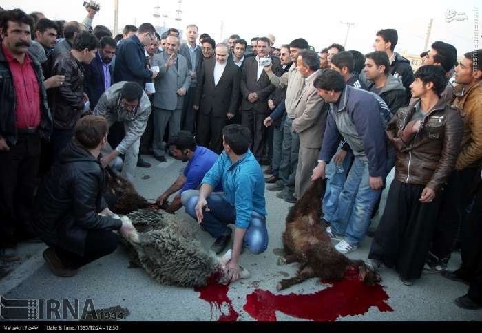 قربانیان سفر رئیس سازمان میراث فرهنگی/عکس