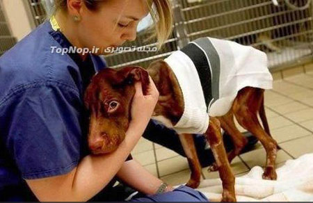 نجات از مرگ حتمی