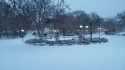 بهمن 94- باغ فجر تبریز