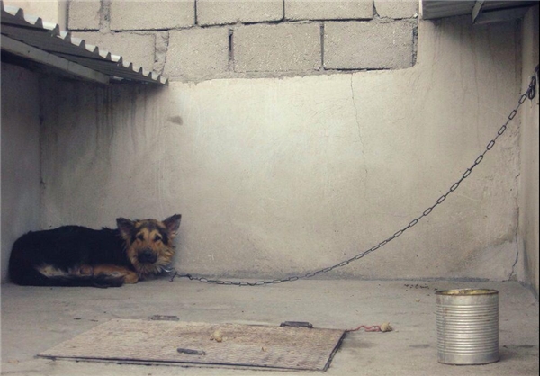 (تصاویر) وضیت وخیم باغ‌وحش تبریز