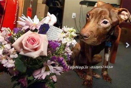 نجات از مرگ حتمی