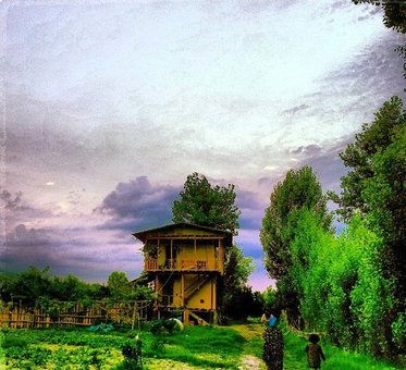 دوست داشتنی ترین چوپان ایرانی +عکس