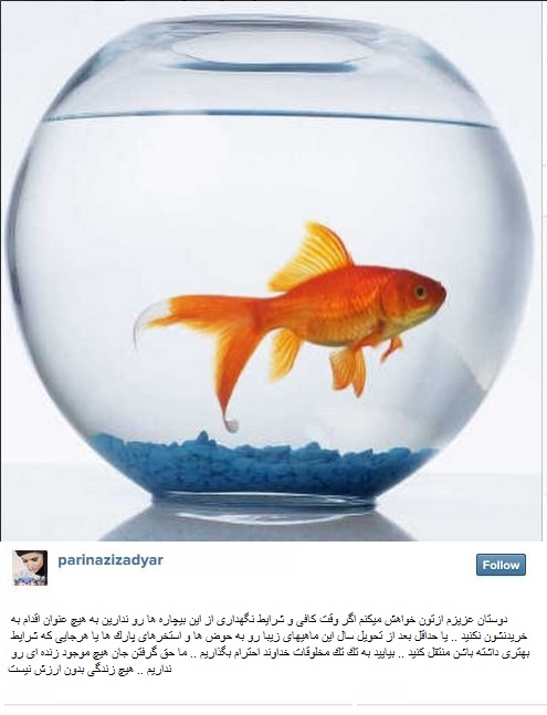 پریناز ایزدیار نکته ای بسیار زیبا را به دوستانش یادآوری میکنید! +عکس