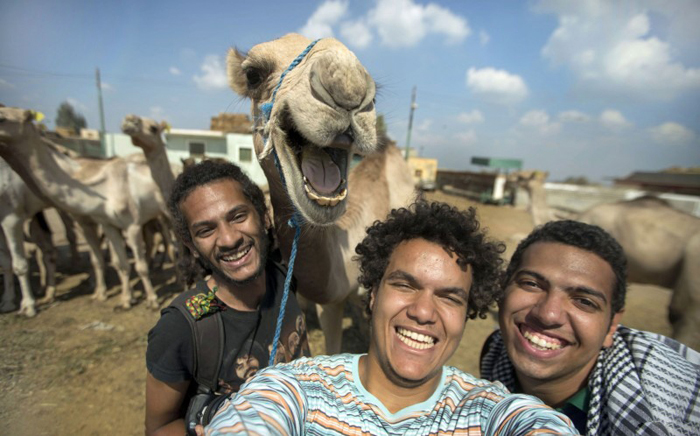 عکس سلفی با شتر