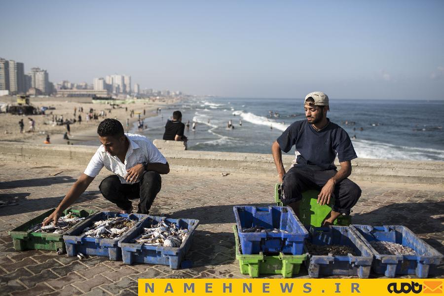 غزه در آرامش/ عکسی از فروش ماهی در سواحل این کشور