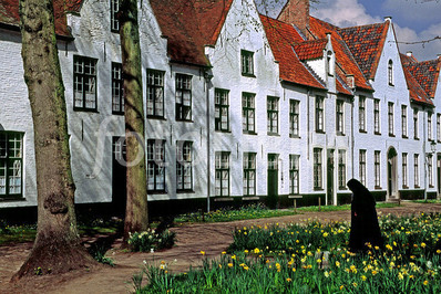 طبیعت زیبا و بکر بروکسل پایتخت بلژیک 