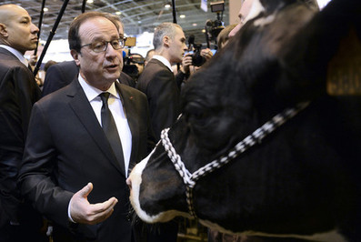  فرانسوا اولاند رئیس جمهور فرانسه 