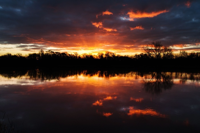 تصاویر/ یک روز برفی در انگلیس