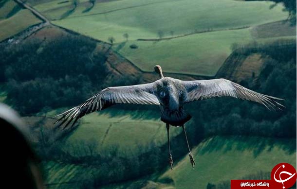 عکس های منتخب نشنال جئوگرافیک + تصاویر