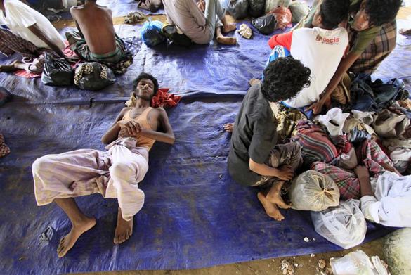 تصاویر : مسلمانان 