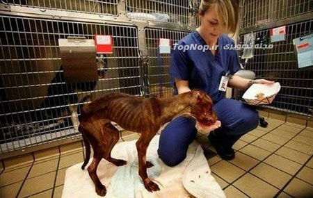 نجات از مرگ حتمی