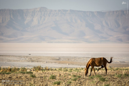خشکسالی دریاچه مهارلو استان فارس