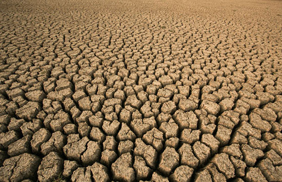 عکس‌های چشم نواز از الگو های قوی