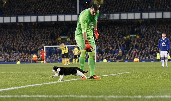 میهمان ناخوانده جام حذفی انگلیس/عکس